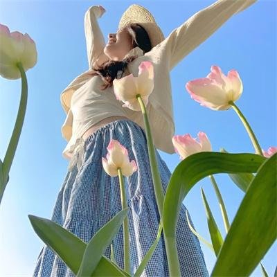 新手人生