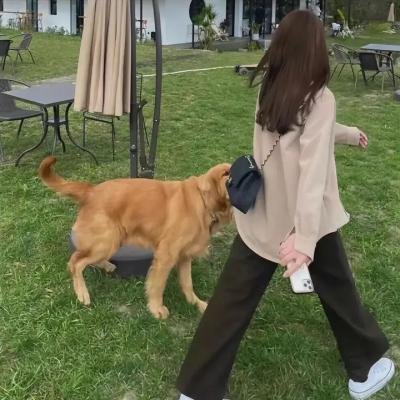 最后的正义