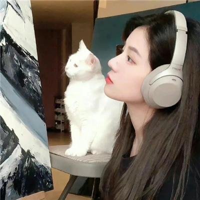 我的死亡纪事