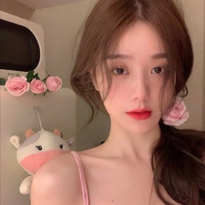 完美的主人